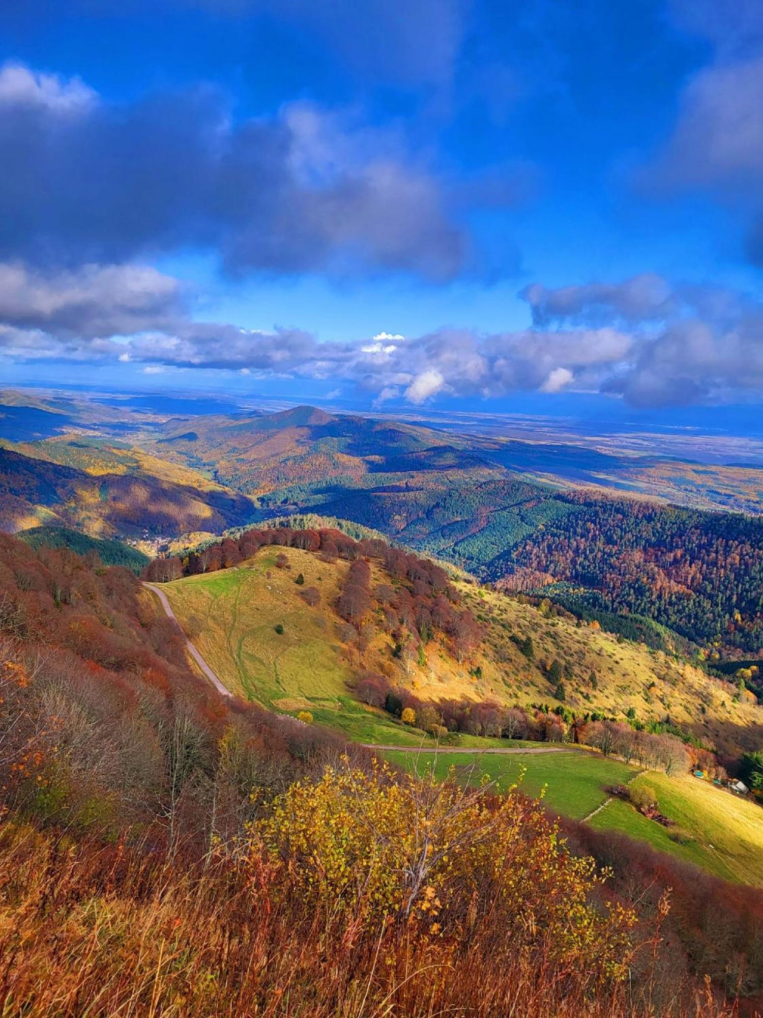 Le Panorama Du Murat Mulhouse Riedisheim 68 Haut-Rhin Alsace Saint-Louis 外观 照片